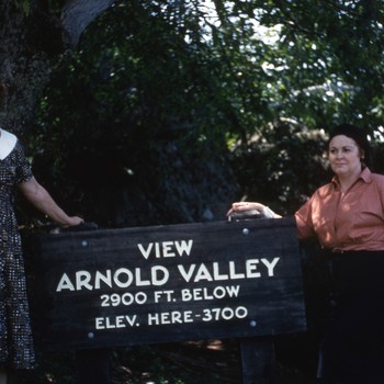 Photo of Bombi Dausin